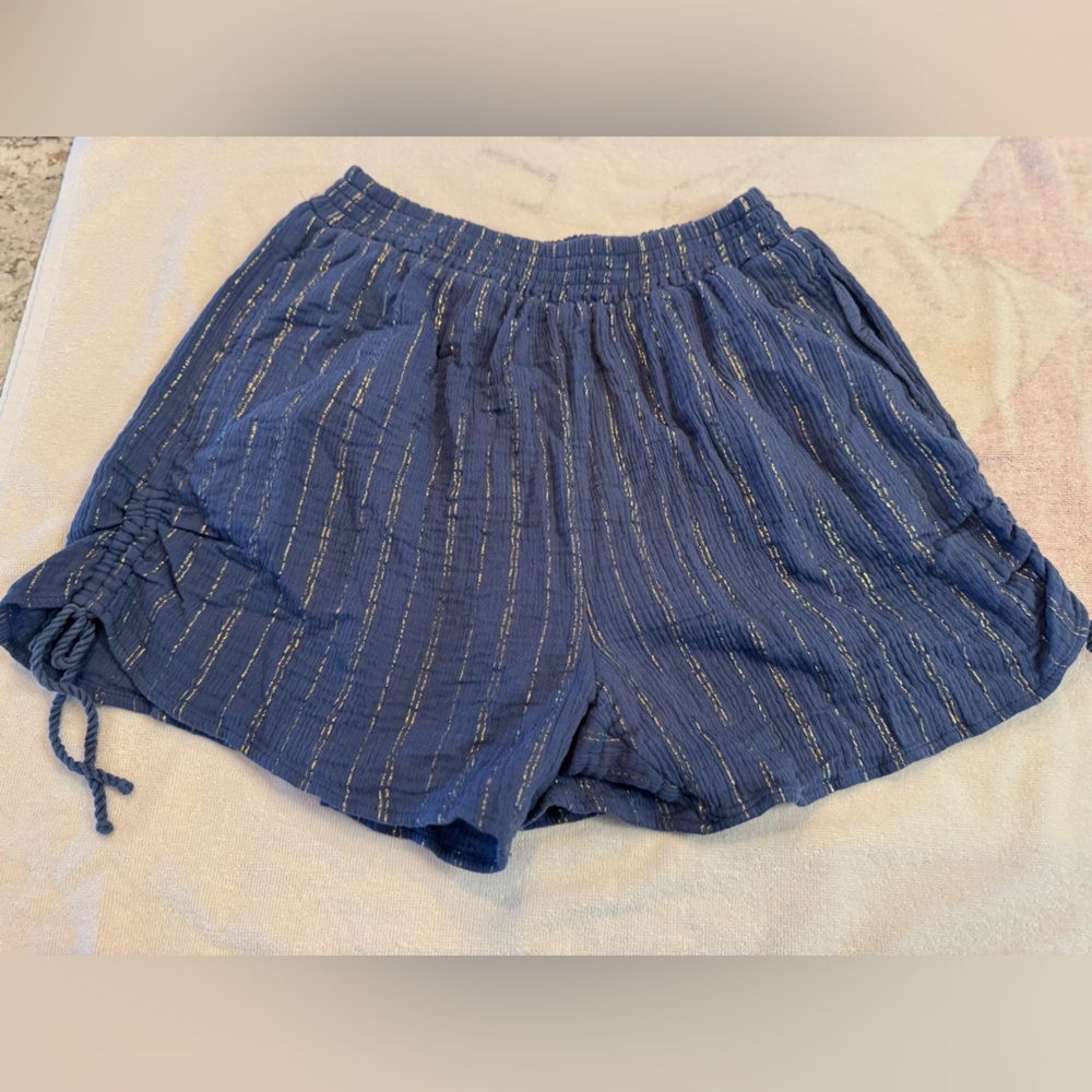 Aerie Blue and Silver Athletic Shorts with Elastic Waistband - Picture 2 of 9